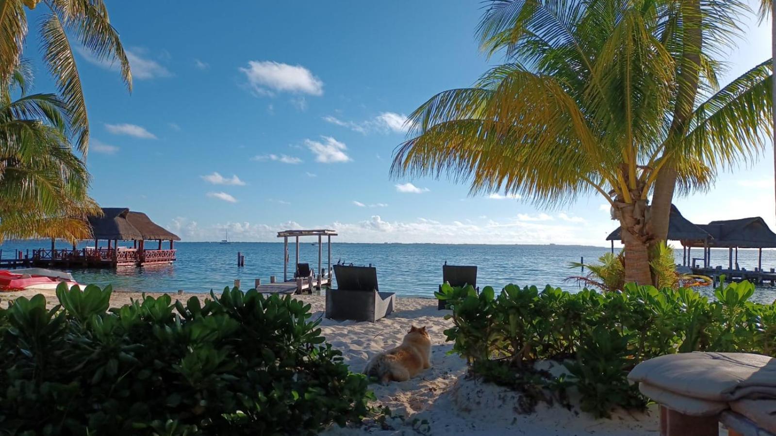 Cancun Private Apartment Luaran gambar